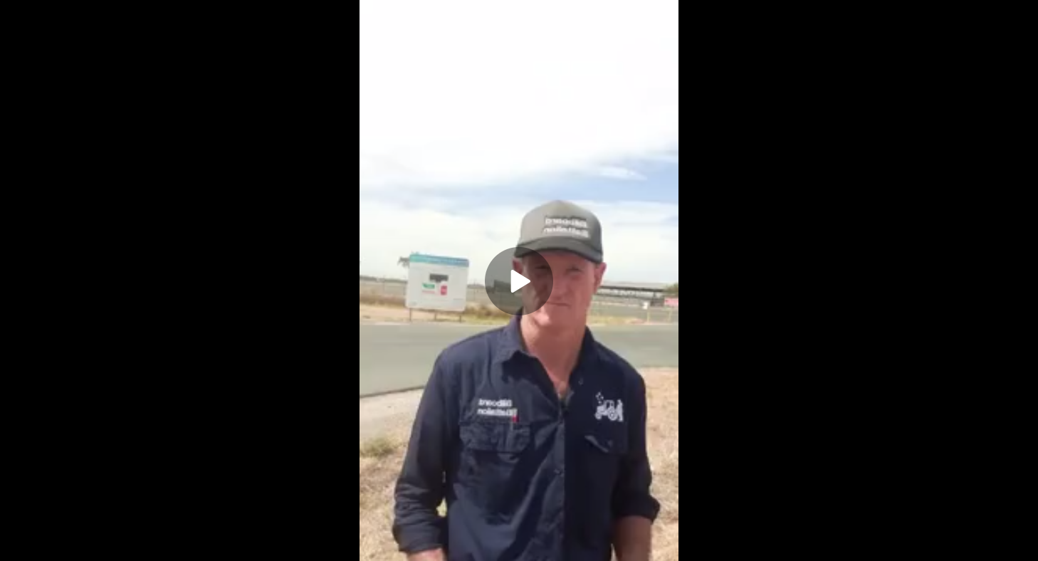 The Future of the Red Meat Industry Echuca Saleyards 11/3/2024